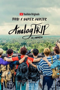 Analog Trip in Indonesia - Poster / Capa / Cartaz - Oficial 1