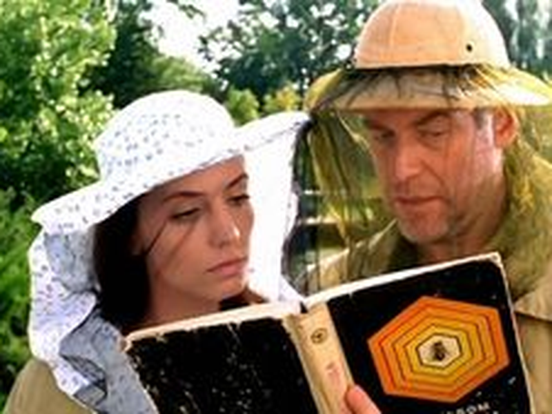 Foto 4 de Down House    