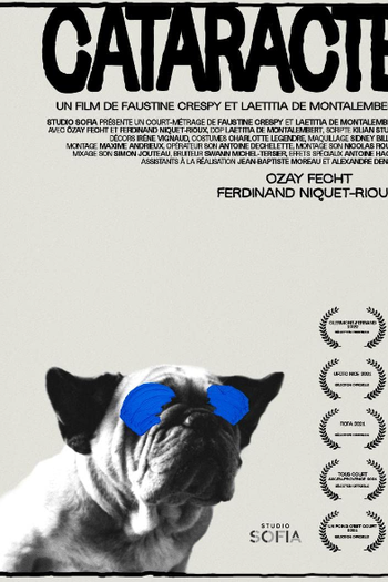 Poster de Curta Catarata (2021)