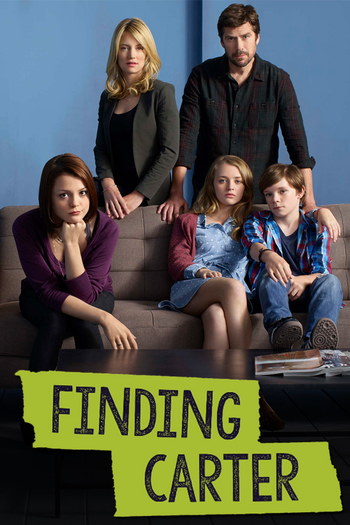 Poster de Franquia Finding Carter (2014)