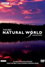 BBC Natural World Season 31 (BBC Natural World Season 31)