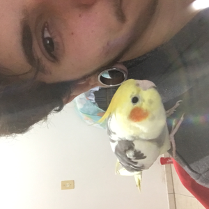 Foto de perfil de Vic Schutz