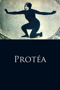 Protéa - Poster / Capa / Cartaz - Oficial 2