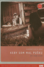If I Had a Gun (Keby som mal pusku)