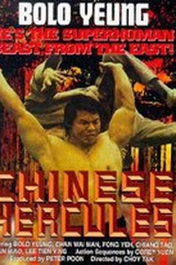  de Filme A Volta do Dragão Chinês (1973)