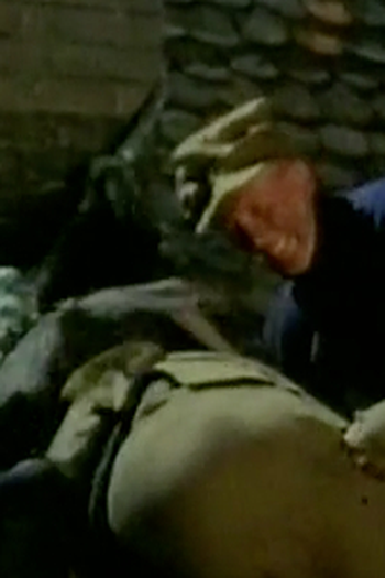 Poster de Episódio The Traitor (1972)