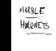 Marble Hornets (1ª Temporada)