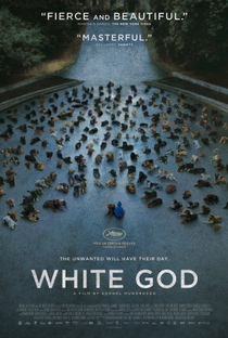 Deus Branco - Poster / Capa / Cartaz - Oficial 2