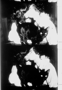 The Lighted Field (The Lighted Field)