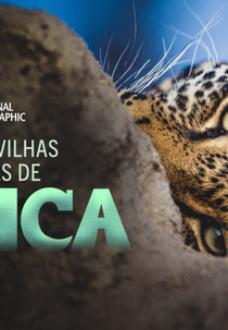 As Maravilhas Ocultas da África (As Maravilhas Ocultas da África)