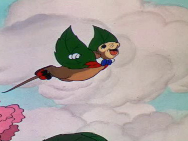 Foto 1 de O Rato Voador