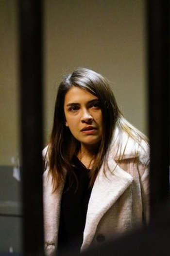 Poster de Episódio 29. Bölüm (2021)