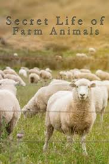 A Vida Secreta dos Animais da Fazenda (Secret Life of Farm Animals)