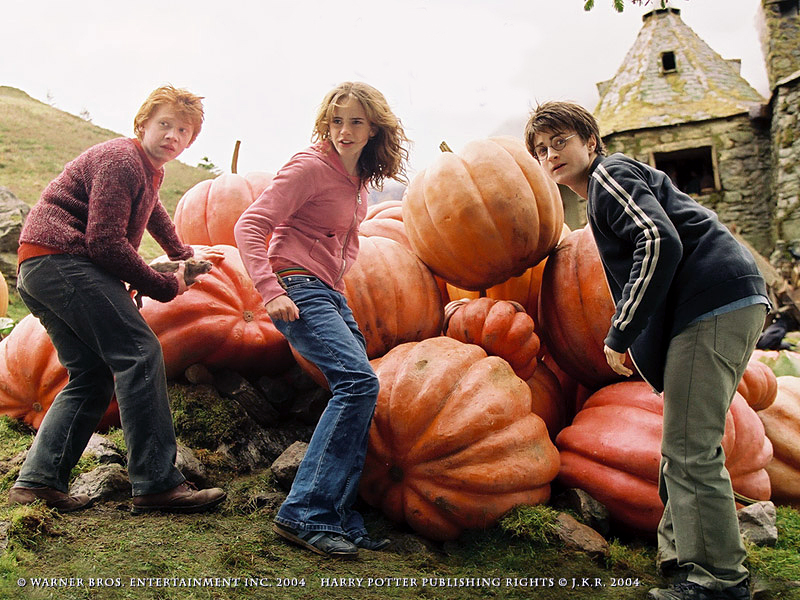 Foto 6 de Harry Potter e o Prisioneiro de Azkaban