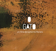 O Gato