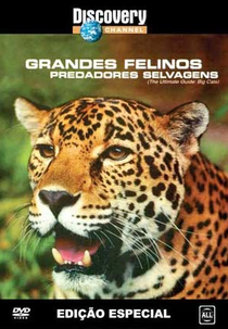 Grandes felinos: Predadores selvagens (Discovery Channel - The ultimate guide: Big cats)