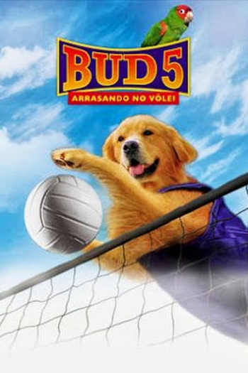  de Filme Bud 5 - Arrasando no Vôlei (2003)