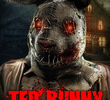 Ted Bunny