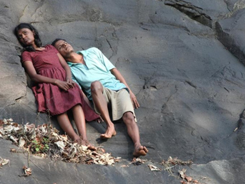 Foto 1 de Peixe Voador