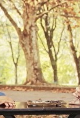 Poster 2 de Curta Ignácio e Saldanha (2013)