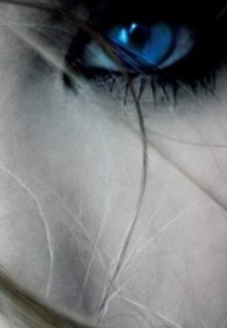 The Last Vampire (The Last Vampire)