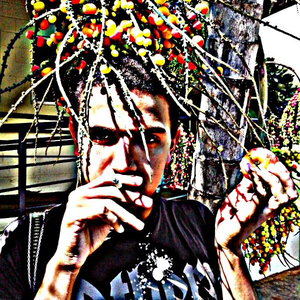 Foto de perfil de Luiz Felipe