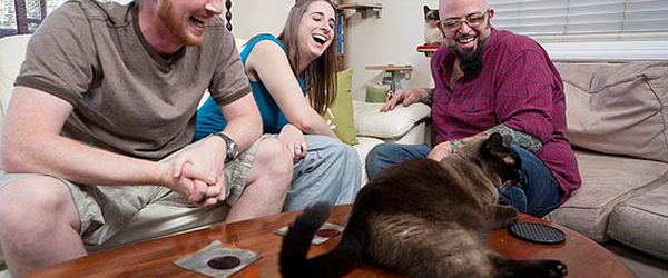 'Meu Gato Endiabrado' dá dicas para educar bichanos bagunceiros
