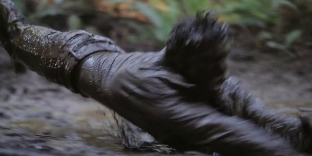 The Bigfoot mythology deepens in ferocious new trailer for Primal Rage | SyfyWire