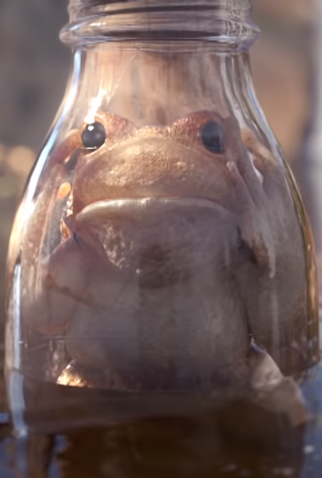 Poster 1 de Curta Locked Up (2014)