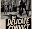 Delicate Convict