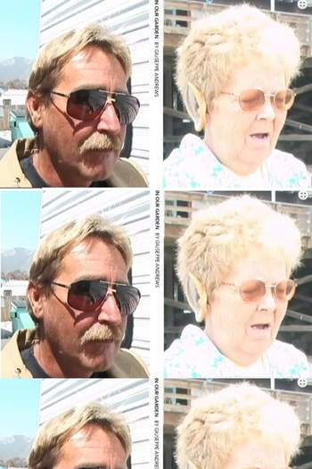 Poster de Filme In Our Garden (2002)