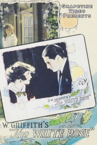 Poster 1 de Filme A Rosa Branca (1923)