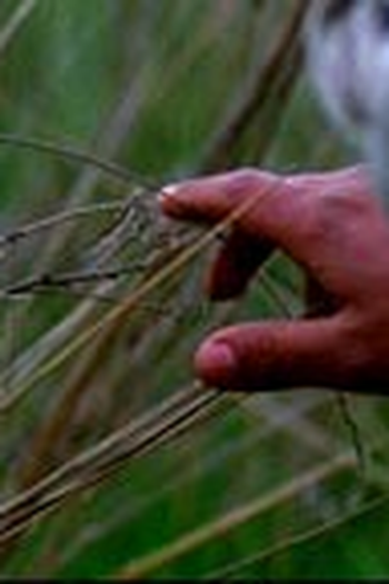 Poster de Curta Parmi Nous  (2011)