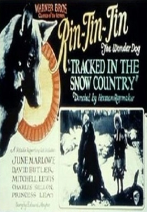 Perdidos nas Regiões Geladas (Tracked in the Snow Country)