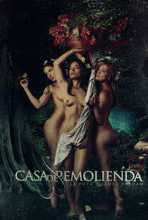 Casa de Remolienda - Poster / Capa / Cartaz - Oficial 1