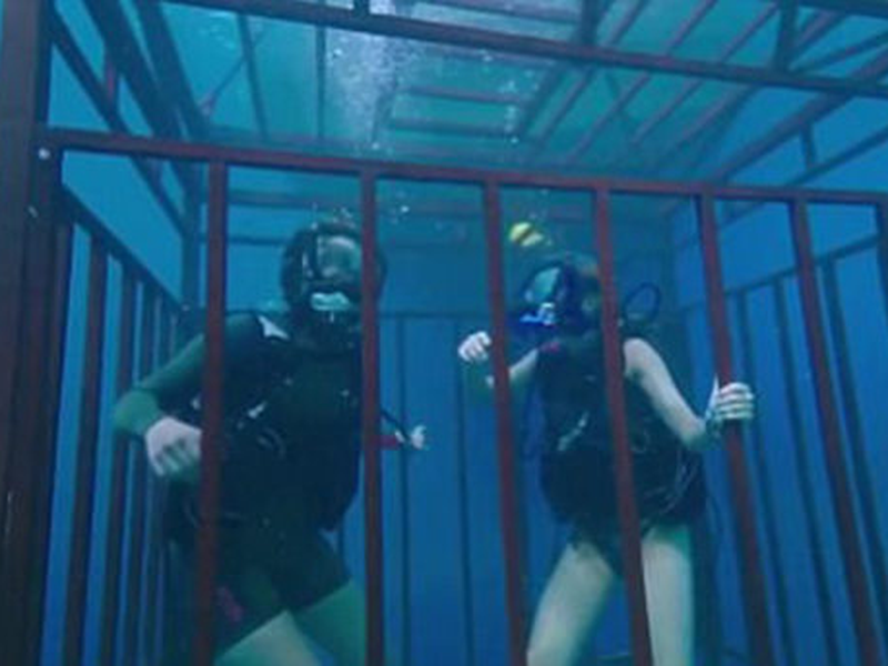 Foto 15 de Medo Profundo