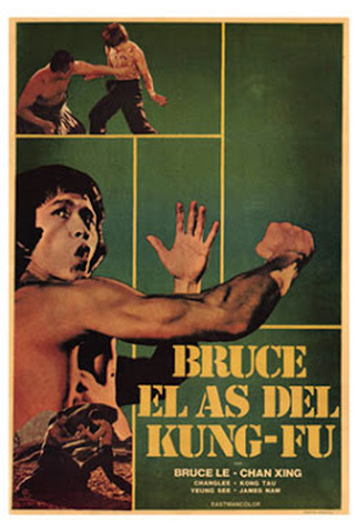 Poster 2 de Filme Bruce and Shaolin Kung Fu (1977)