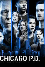 Chicago P.D.: Distrito 21 (6ª Temporada) (Chicago P.D. (Season 6))
