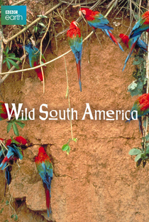América do Sul Selvagem - Poster / Capa / Cartaz - Oficial 1