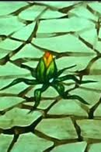 Poster de Curta Kwiat (1973)