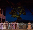 L'Elisir d'Amore