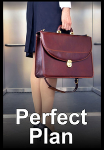 O Álibi Perfeito (Perfect Plan)