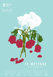 The Meteor (Le Météore)