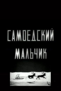 Samoyed Boy - Poster / Capa / Cartaz - Oficial 1