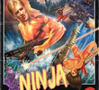 Eliminador Ninja II: A Busca pelo Cristal Ninja Mágico