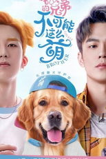 Lovely Brother (我的兄弟不可能在这么萌)