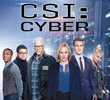 CSI: Cyber (2ª temporada)