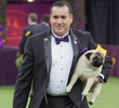 Westminster Dog Show