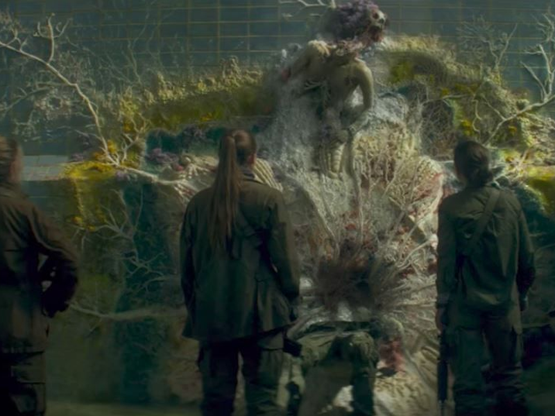 Foto 6 de Aniquilação