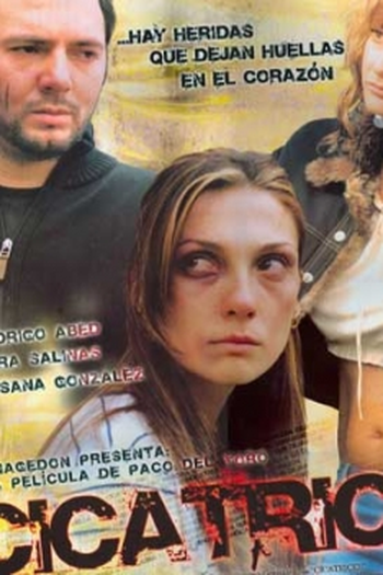 Poster de Filme Cicatrizes (2005)